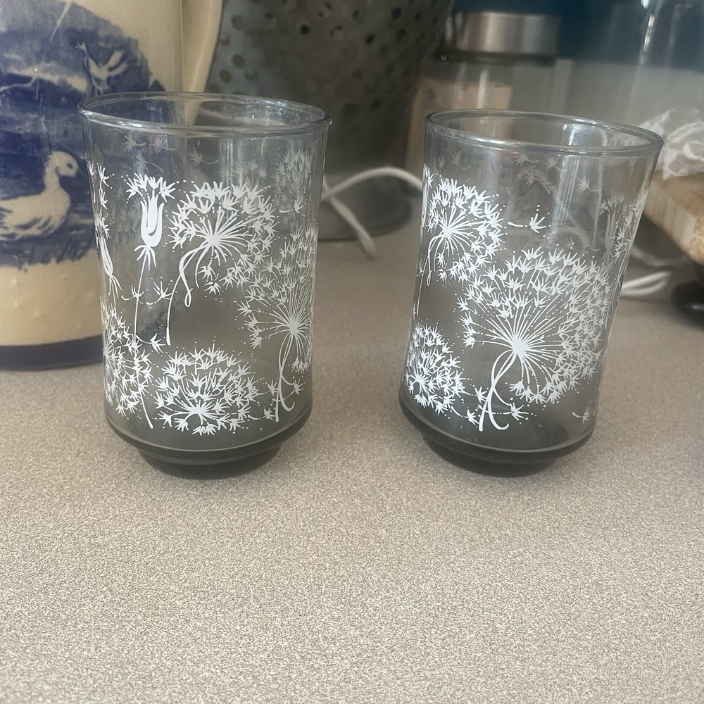 Vintage Libby - Dandelion Juice Glass Set of 2 Drinking Glasses MCM